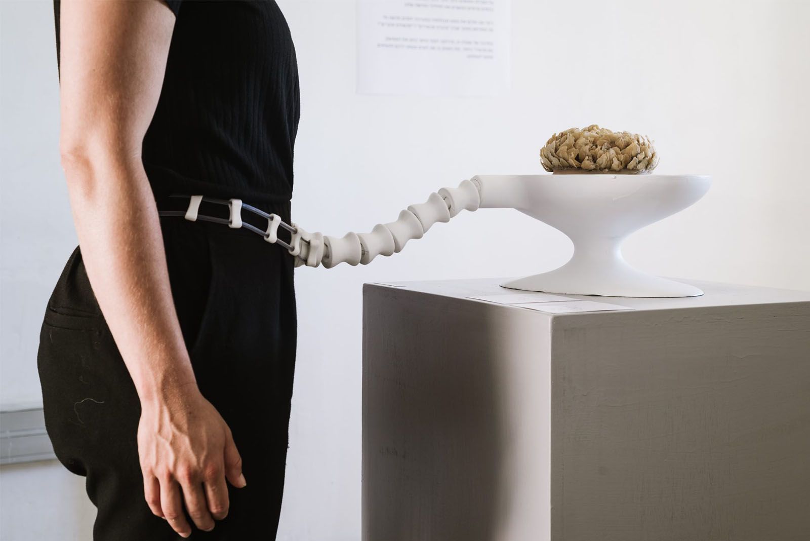 'הגוף החש', ענת סבר, פרויקט מסכם בהנחיית נטי שמיע-עופר. 2019. (צילום: דור קדמי)
