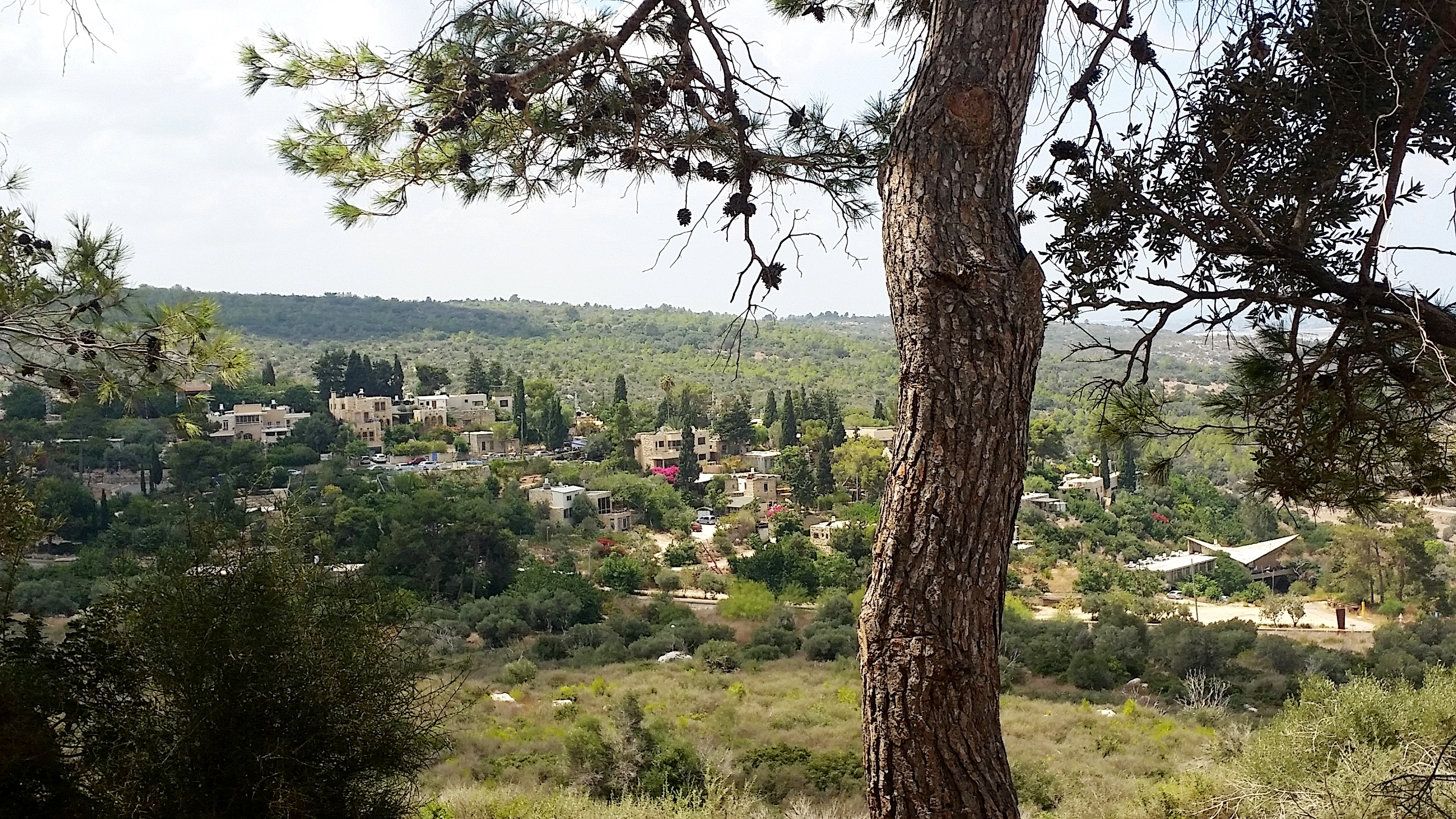 כפר האמנים עין הוד