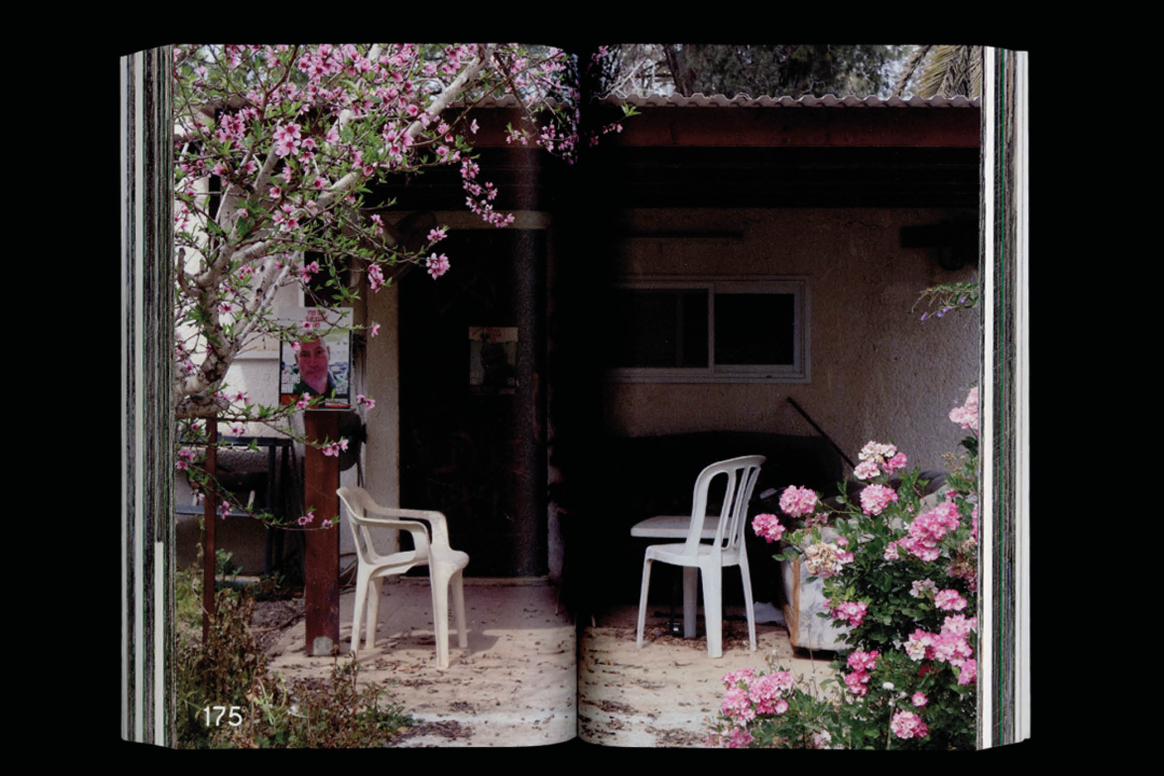 אלון בוטבול ועדן פיינברג סבח, "ניר־עוז — פרחי גאולה ואבל", המחלקה לתקשורת חזותית, 2024