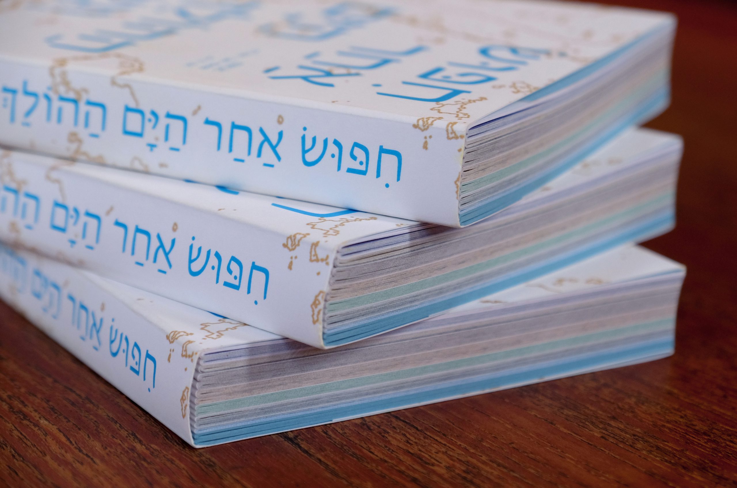 עטרה סליה ליפקין, חיפוש אחר הים ההולך ונעלם, פרויקט גמר, המחלקה לתקשורת חזותית, 2024