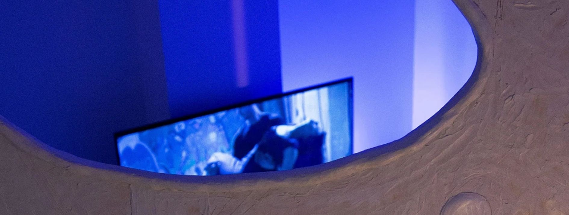 שחף אידה, ׳שלולית הטראומה׳, התכנית לתואר שני באמנויות, פרוייקט גמר, 2026