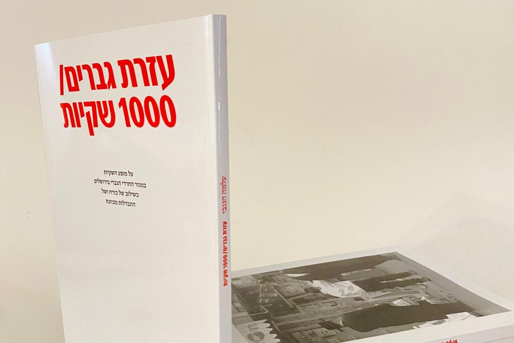 עלמה הנגבי, ׳עזרת גברים / 1000 שקיות׳, פרויקט גמר, המחלקה לתרבות חזותית וחומרית, 2024