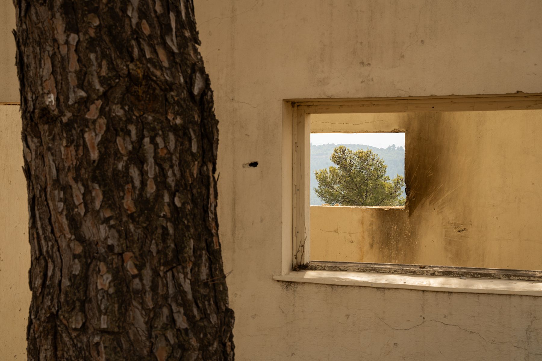 Inbar Zak, And to Love Life With a Broken Heart, final project, 2025