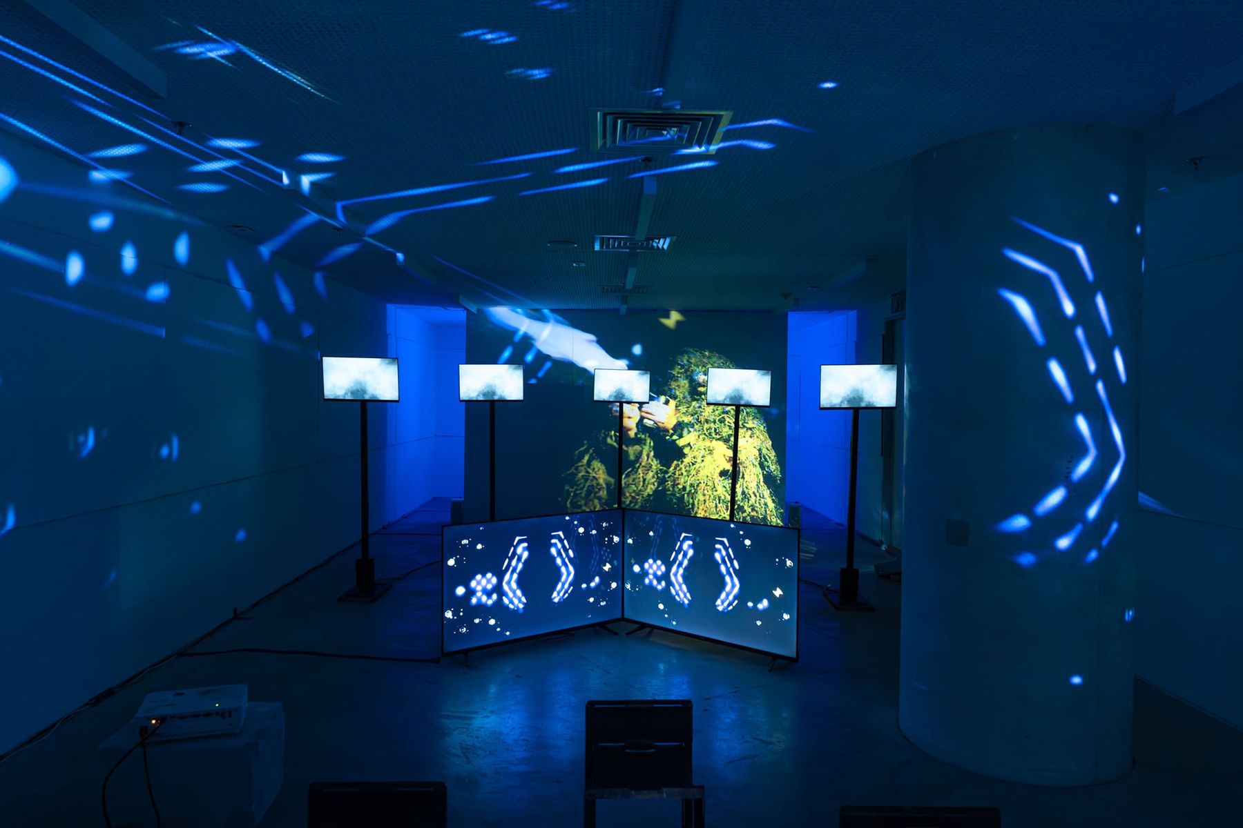 Alon Balas, 'Sweet Jungle', final project, Department of Screen-based arts, 2025 (Photography: Yom Omer)