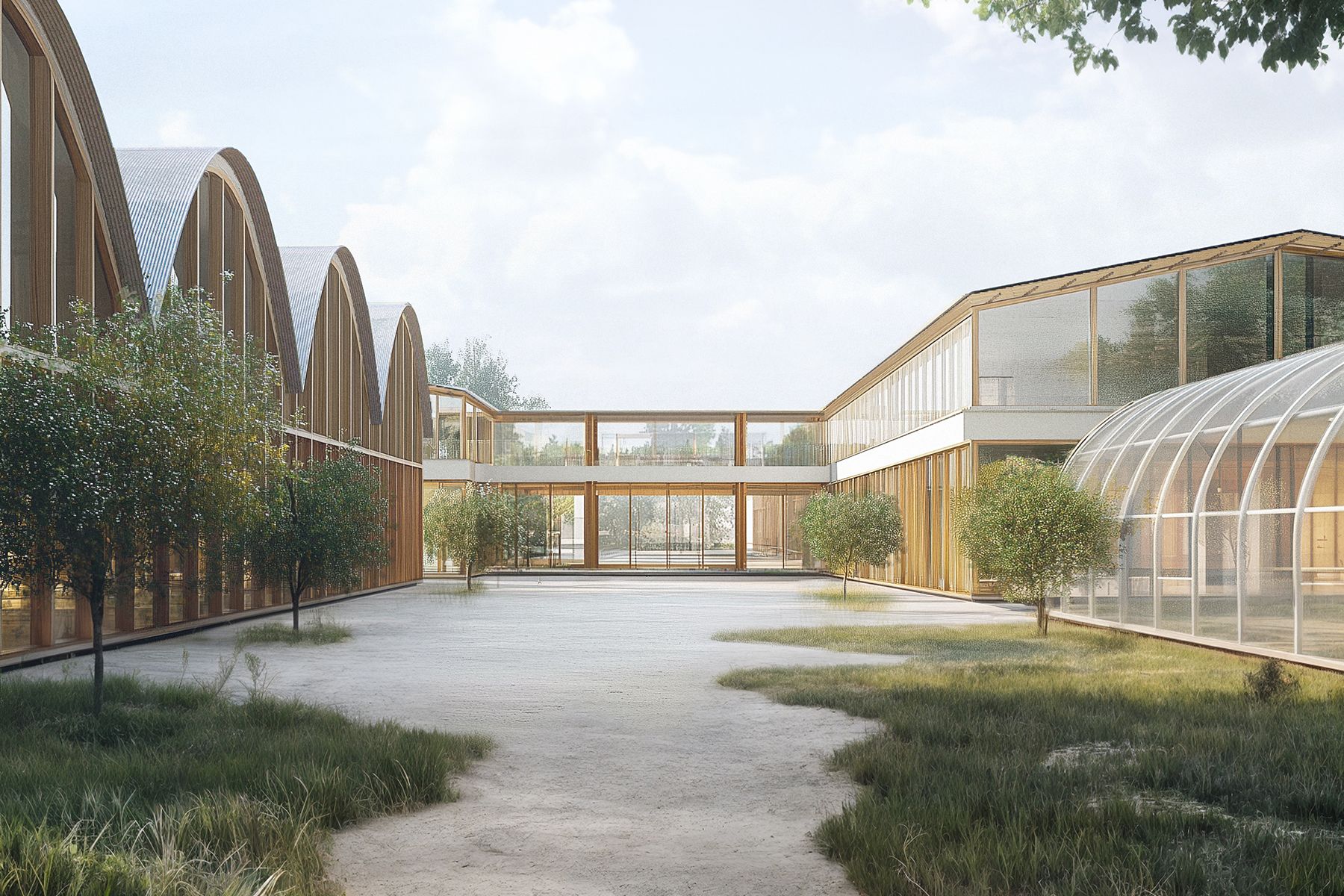 Alon Atar, 'Fields of Recovery', final project, Undergraduate Program in Architecture, 2025